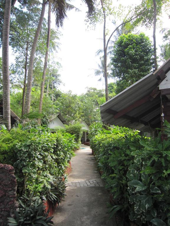 Pine * Krabi town
