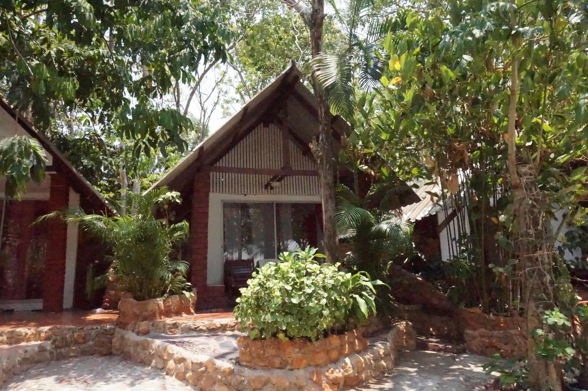 Pine * Krabi town