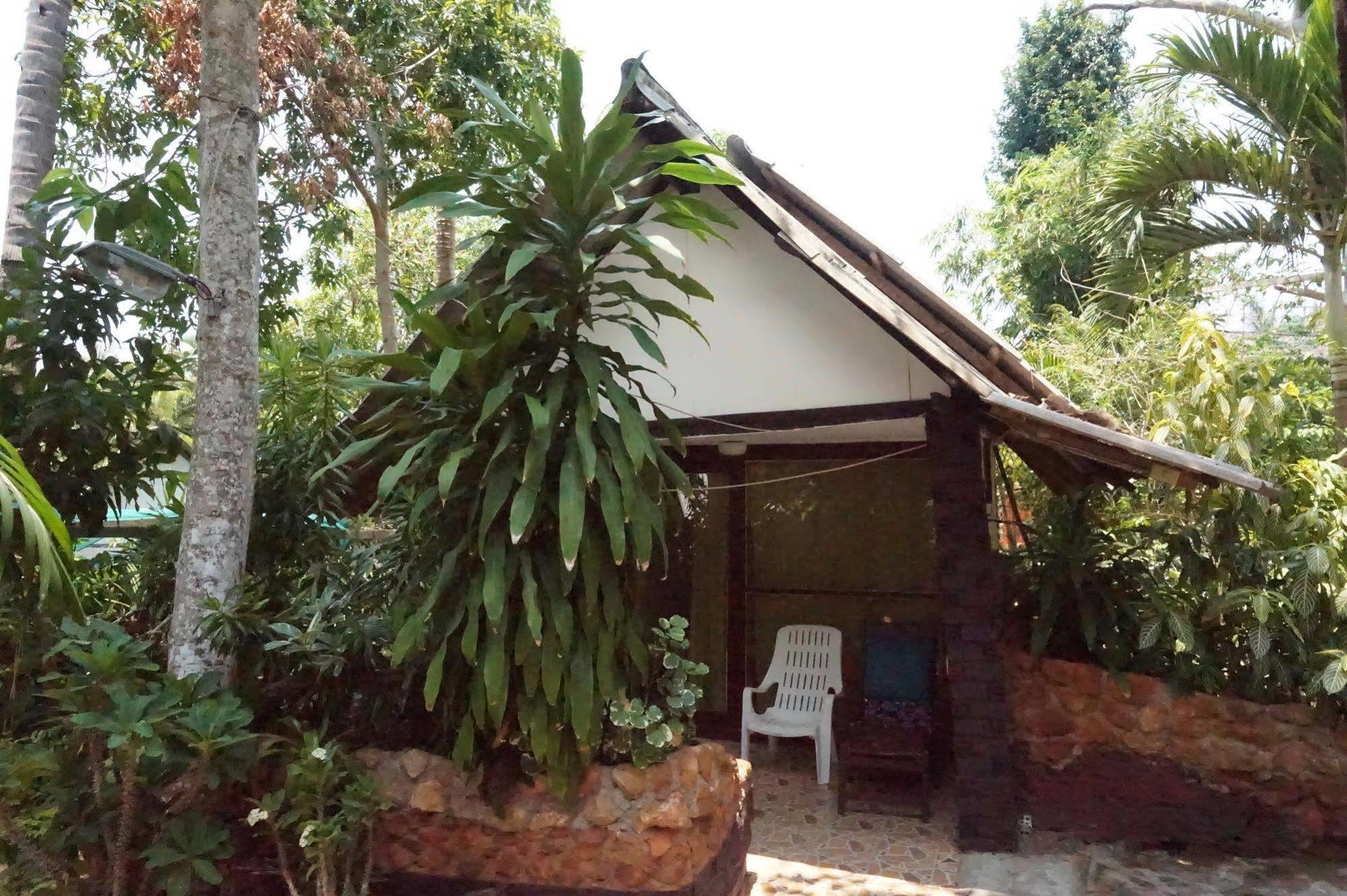 Pine * Krabi town